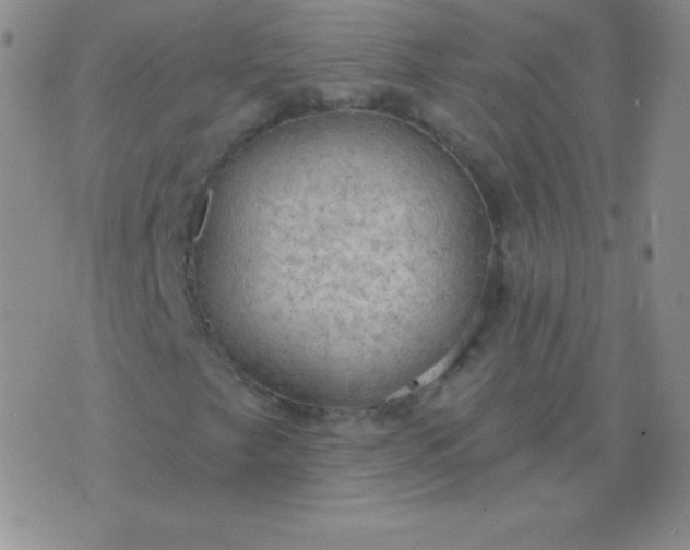 X0000076221249200610122041