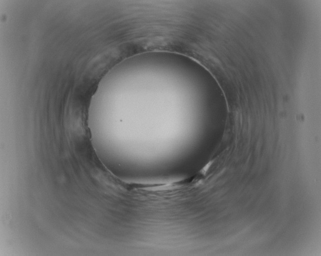 X0000076221250200610122041