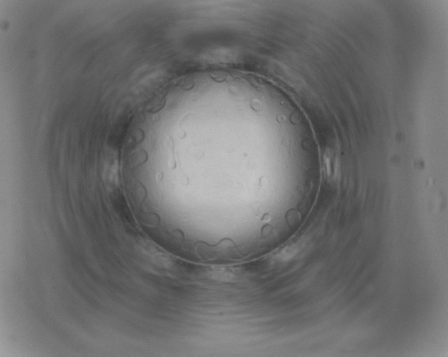 X0000076221251200610122041