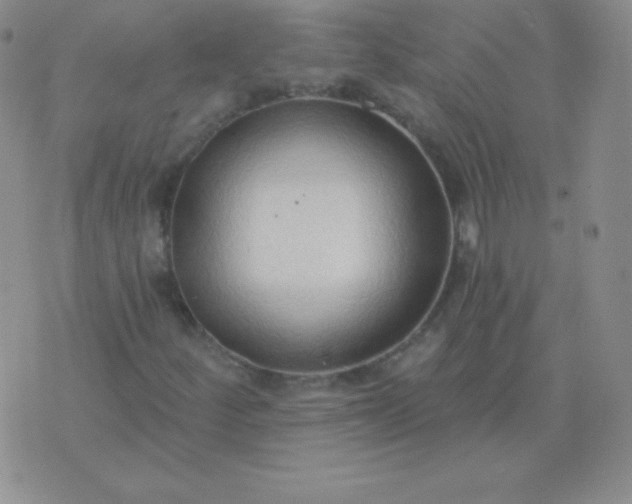 X0000076221252200610122041