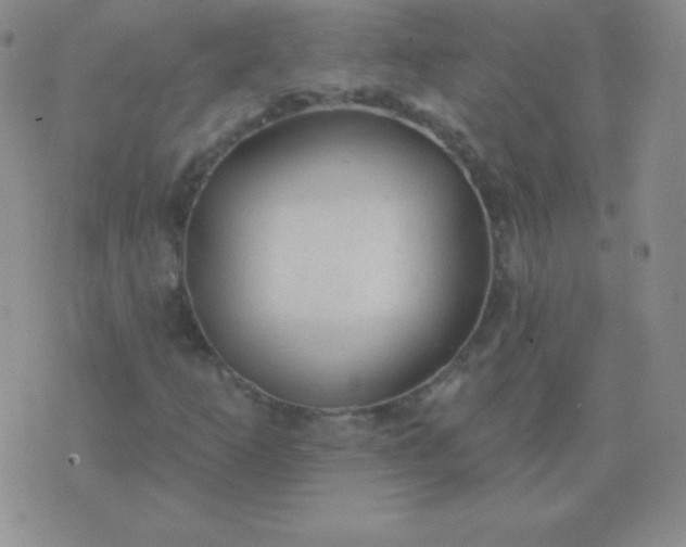 X0000076221253200610122041