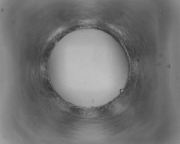 X0000076221254200610122041