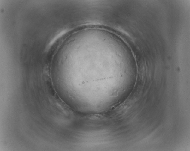 X0000076221255200610122041