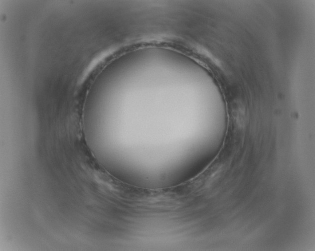 X0000076221256200610122041