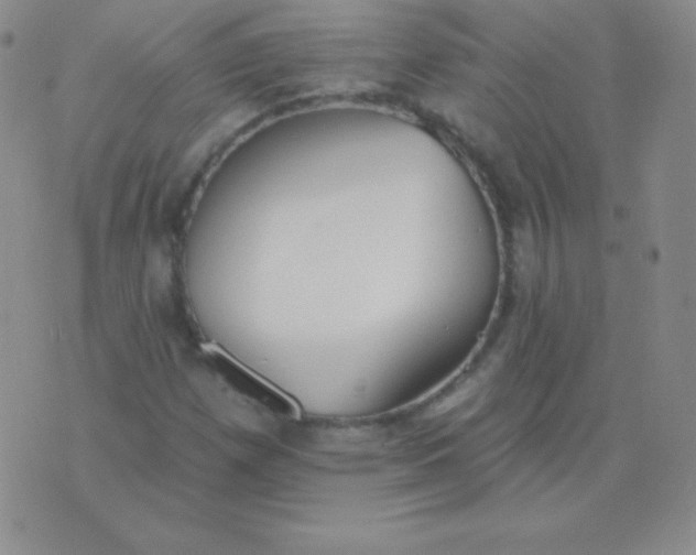 X0000076221257200610122041