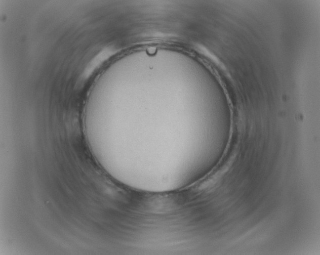 X0000076221259200610122041