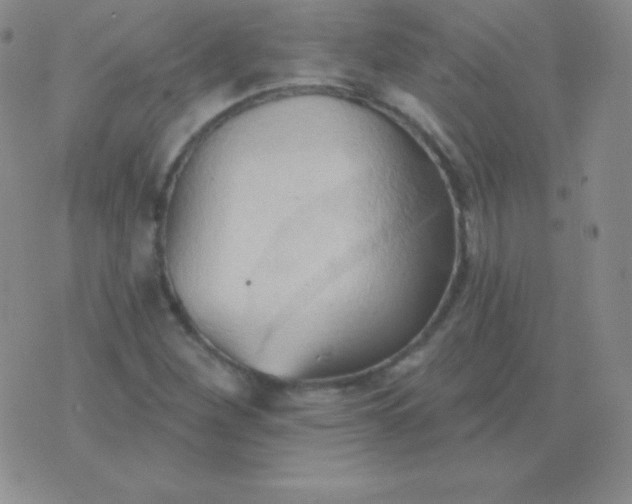 X0000076221260200610122041