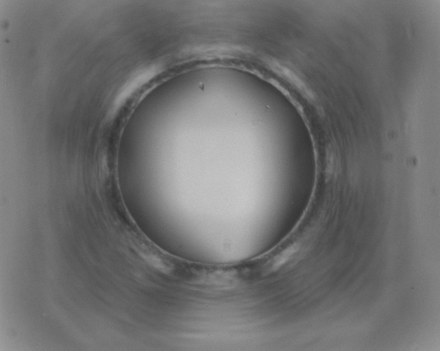 X0000076221261200610122041