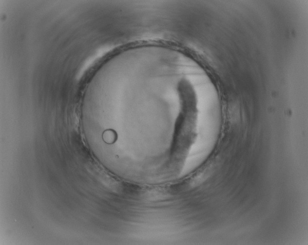 X0000076221262200610122041