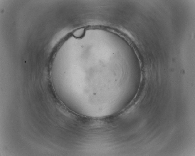 X0000076221263200610122041