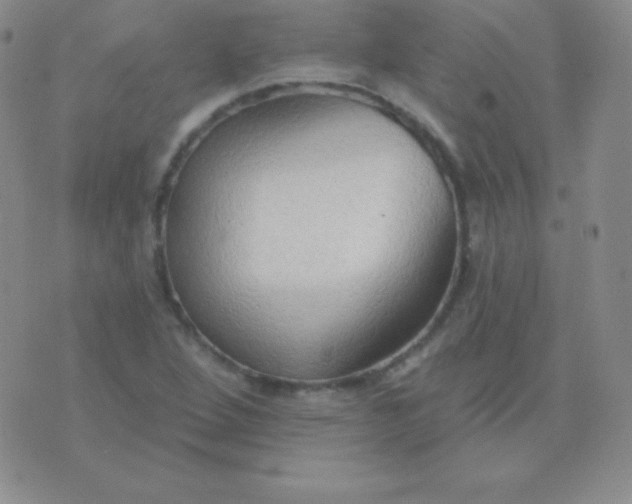 X0000076221264200610122041