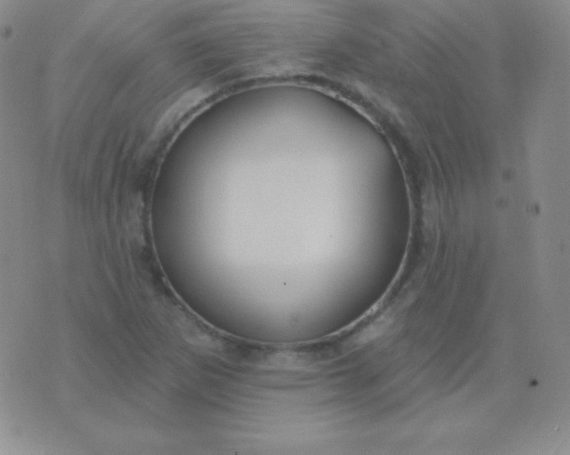 X0000076221265200610122041