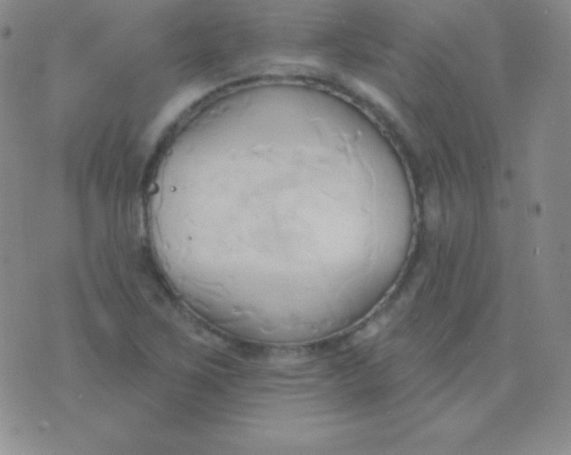 X0000076221267200610122041