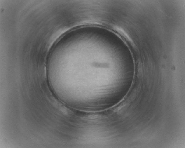 X0000076221268200610122041