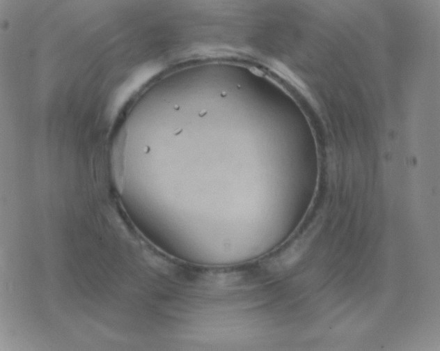 X0000076221269200610122041