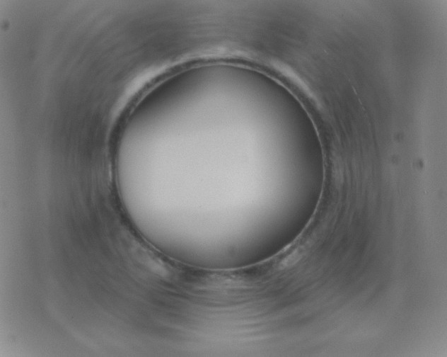 X0000076221270200610122041