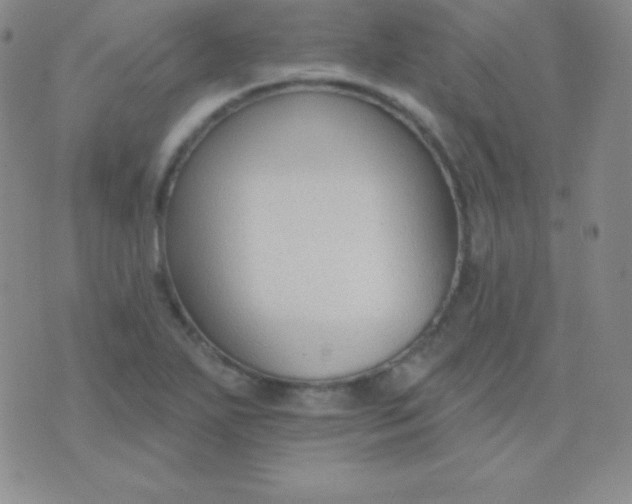 X0000076221271200610122041