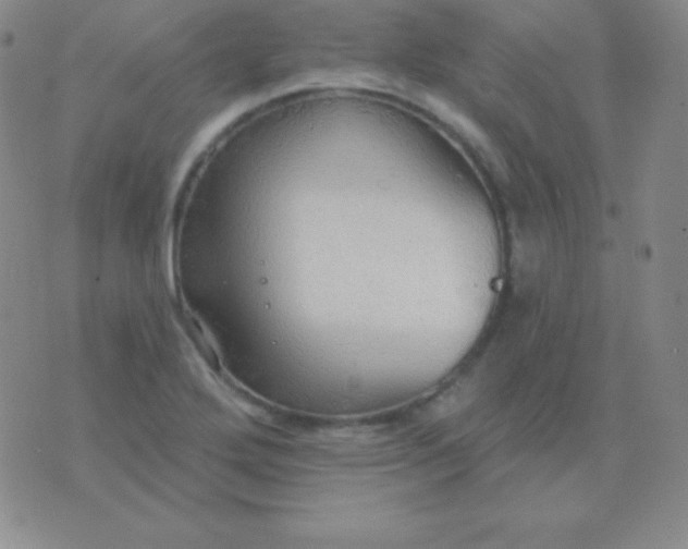 X0000076221272200610122041