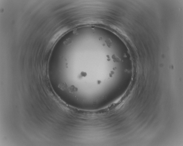 X0000076221273200610122041