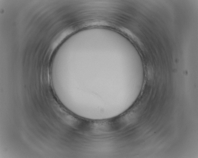 X0000076221274200610122041