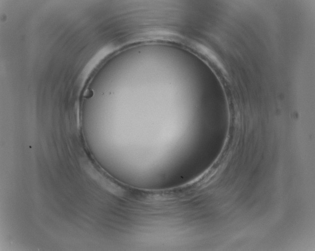 X0000076221275200610122041