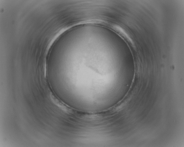 X0000076221276200610122041