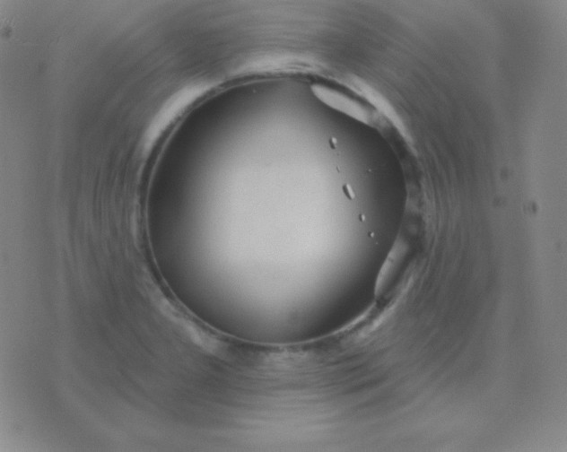 X0000076221277200610122041