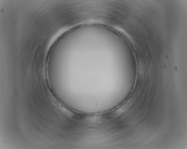 X0000076221278200610122041