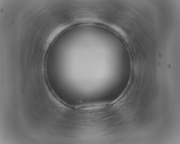 X0000076221279200610122041