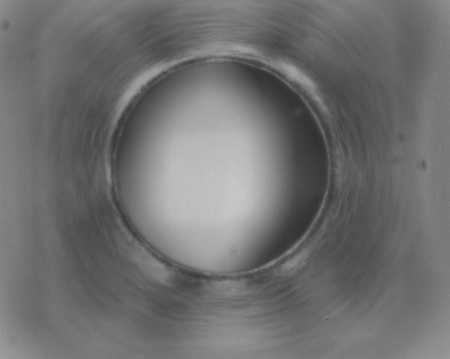 X0000076221280200610122041