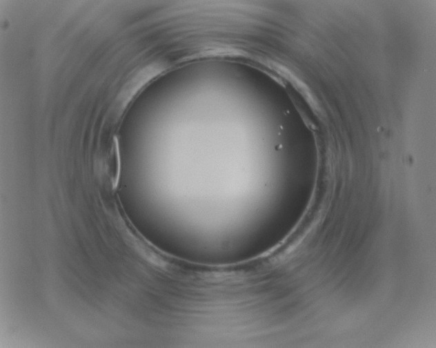 X0000076221281200610122041