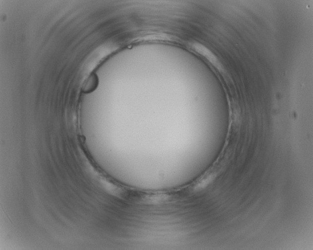 X0000076221282200610122041