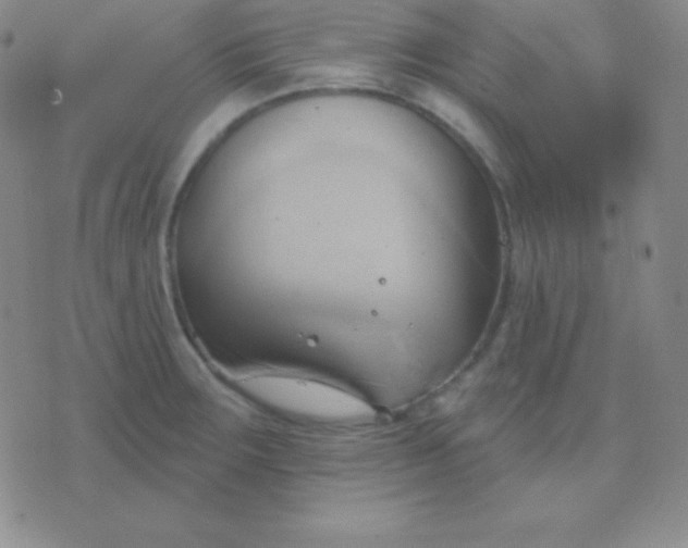 X0000076221283200610122041