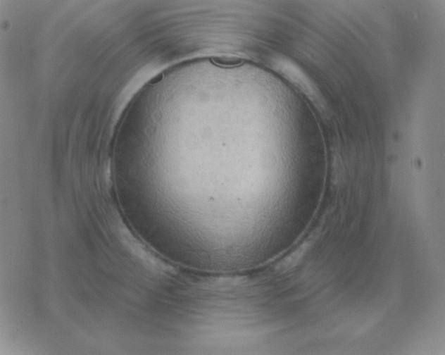 X0000076221284200610122041