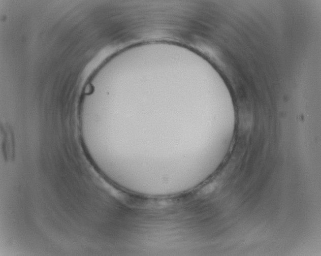 X0000076221286200610122041