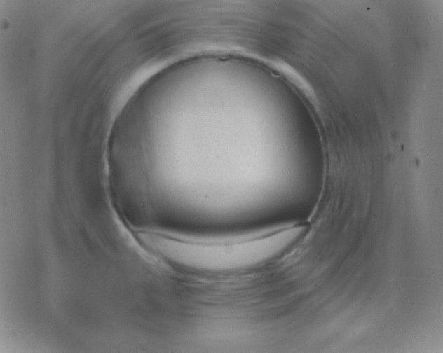 X0000076221287200610122041