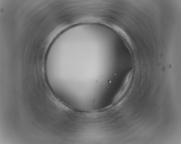 X0000076221288200610122040