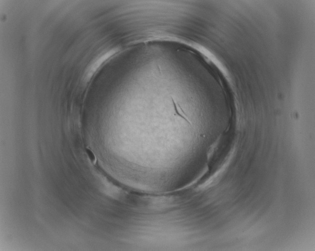 X0000076221289200610122040