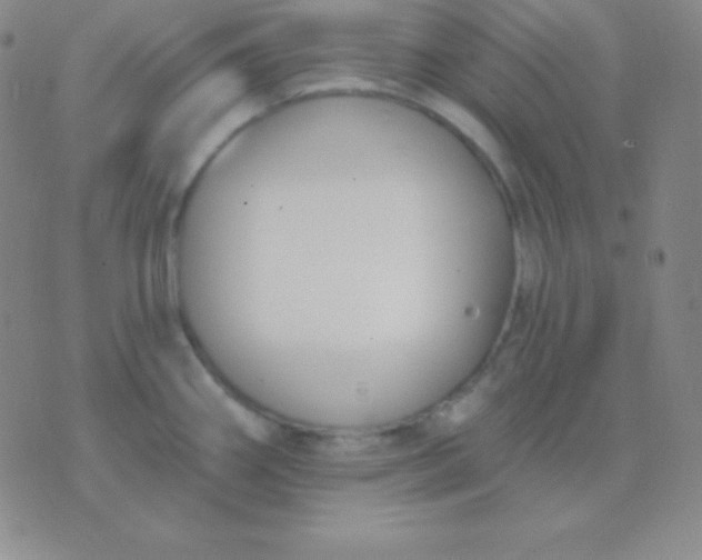 X0000076221290200610122040