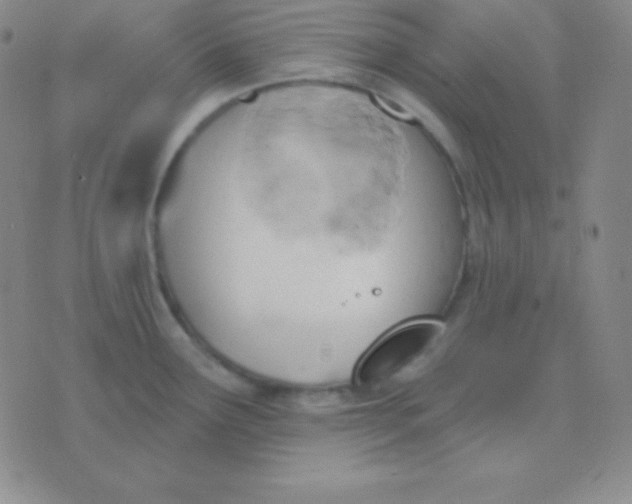 X0000076221291200610122040