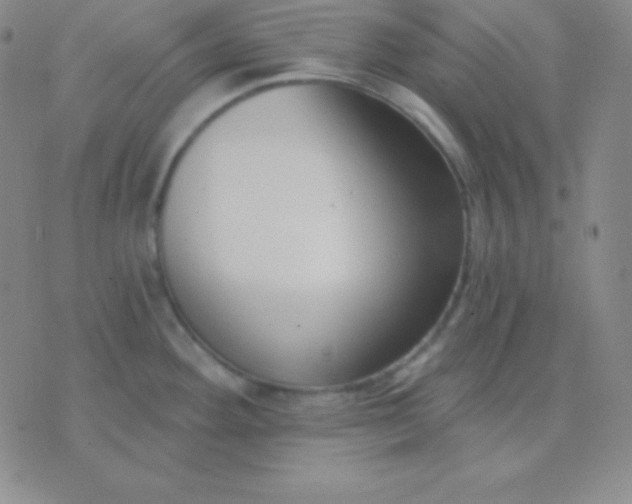 X0000076221292200610122040