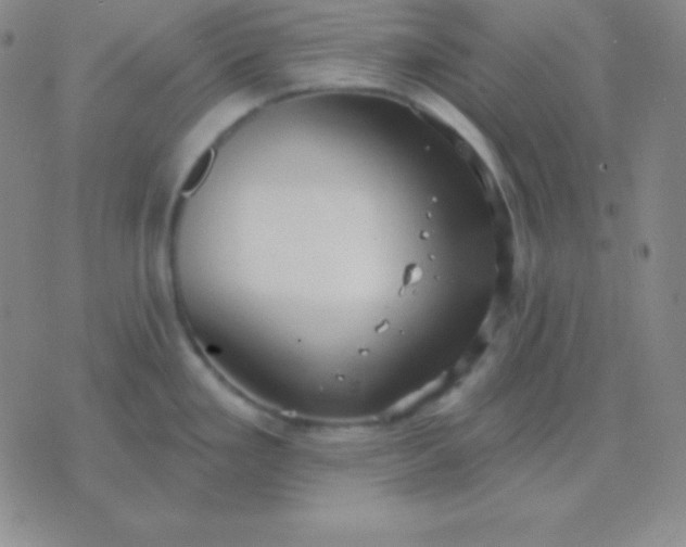 X0000076221293200610122040