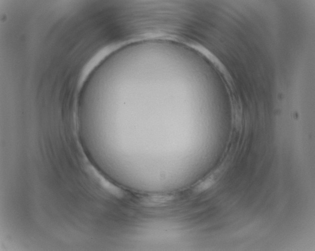 X0000076221294200610122040