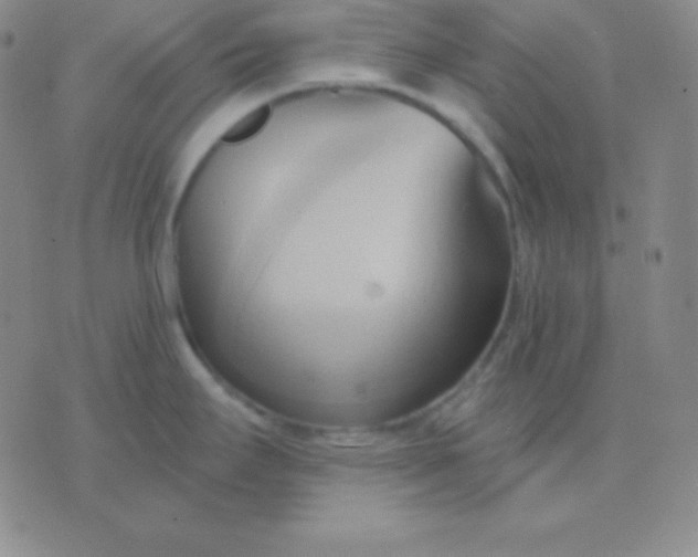 X0000076221295200610122040