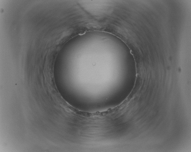 X0000076221297200610122040