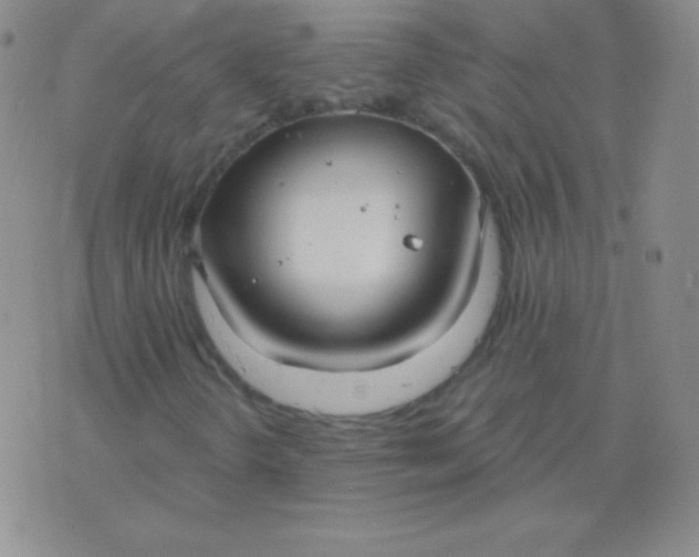 X0000076221298200610122040