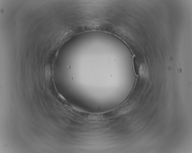 X0000076221299200610122040