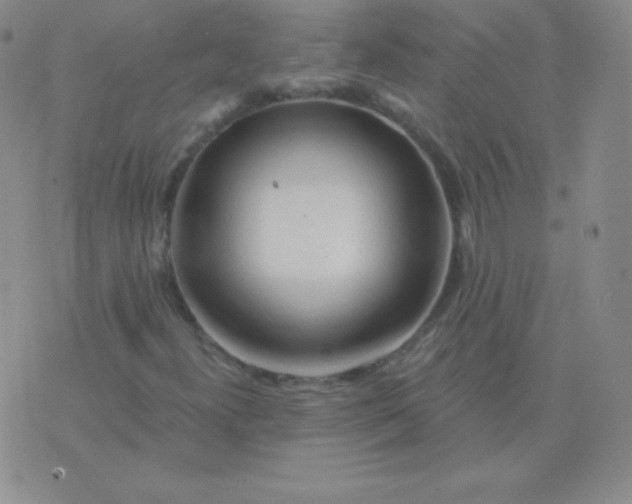 X0000076221300200610122040