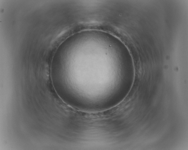 X0000076221301200610122040