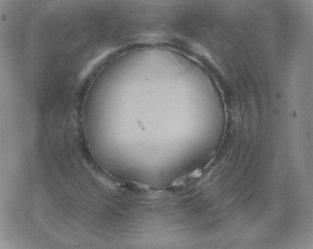 X0000076221304200610122040